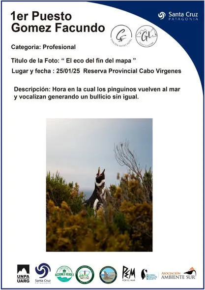 492986272_1102163101944357_7391165607265537174_n