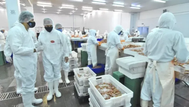 Captura-de-pantalla-2025-01-05-090821