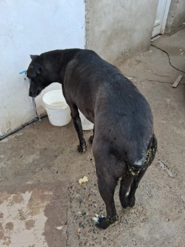 WhatsApp Image 2025-07-31 at 19.10.04