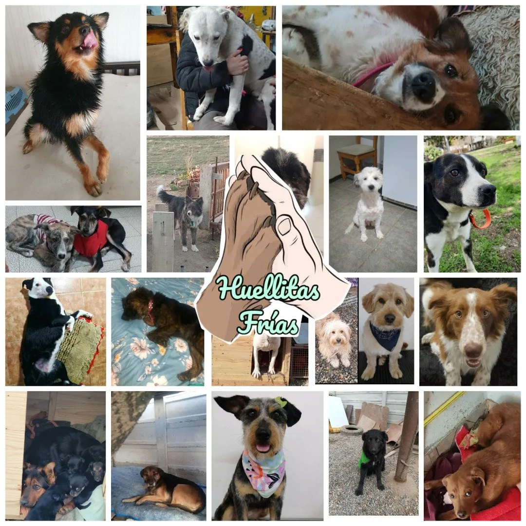 430069281_282668174866452_3789226234349232523_n