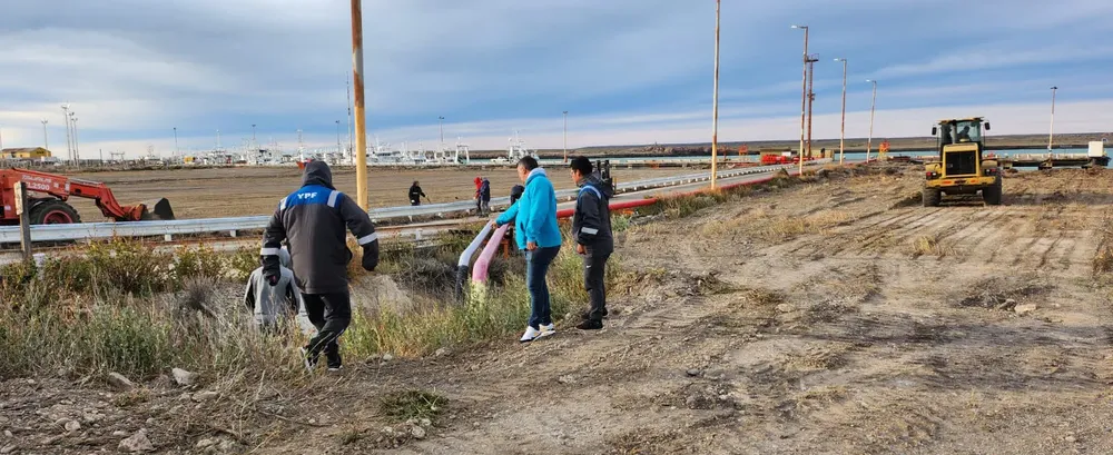 WhatsApp Image 2025-04-04 at 00.43.17 (1)