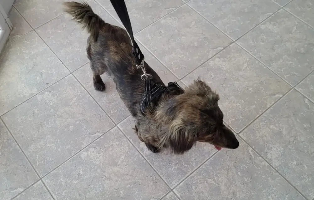 464299378_17881886178152038_2464525912848754282_n