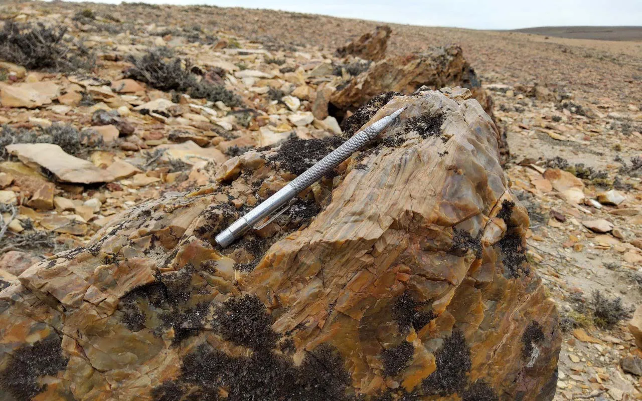 WhatsApp_Image_2025-10-14_at_12.08.32_PM_2