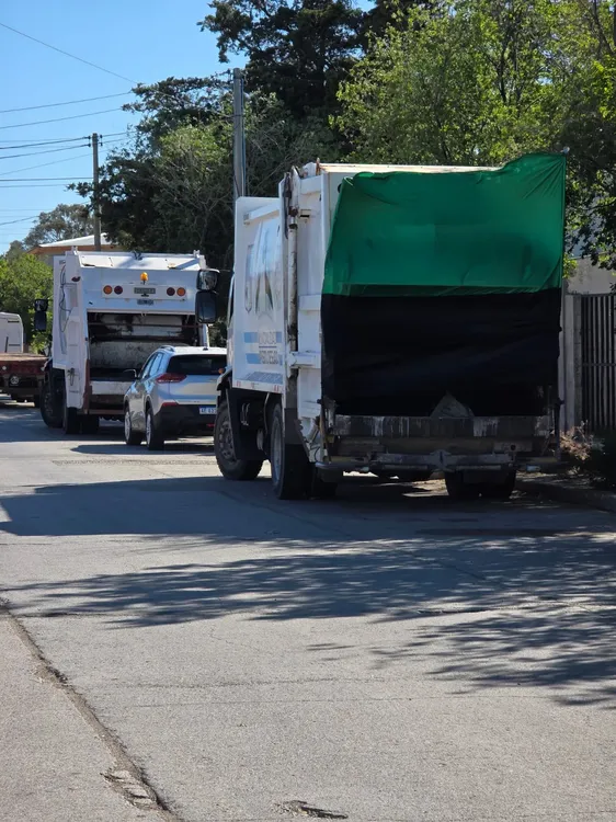 WhatsApp Image 2025-11-03 at 18.38.46