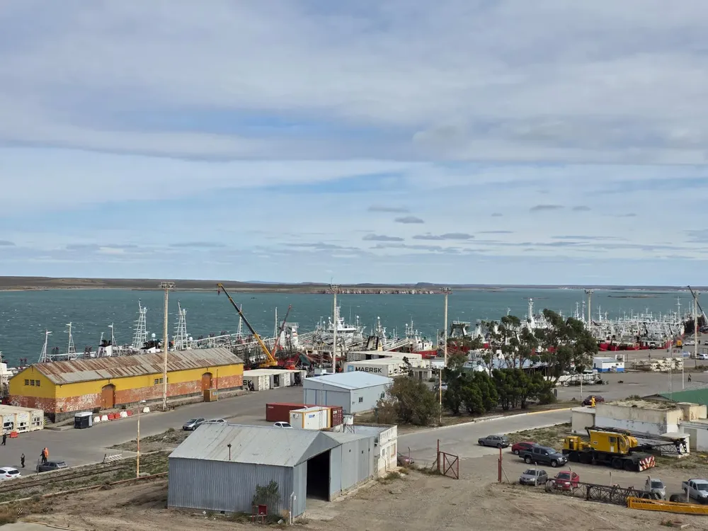 WhatsApp Image 2025-03-12 at 07.00.12