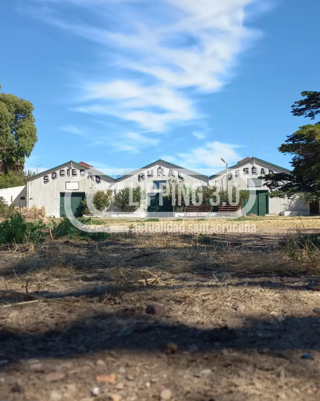 WhatsApp Image 2025-01-26 at 14.19.43