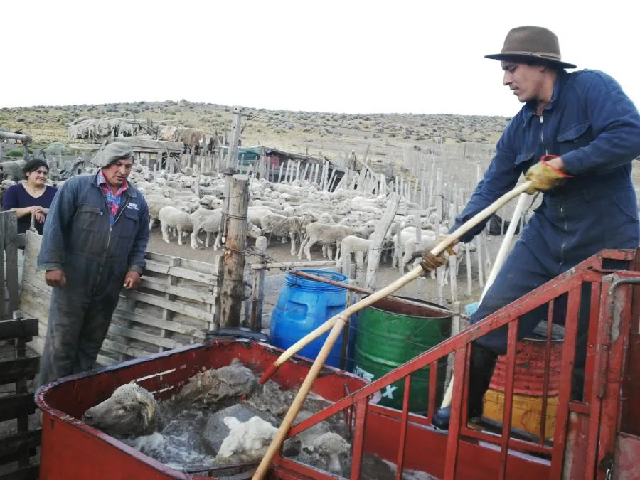 d4477bd2eb6af5a60257558523cb1fae_XL