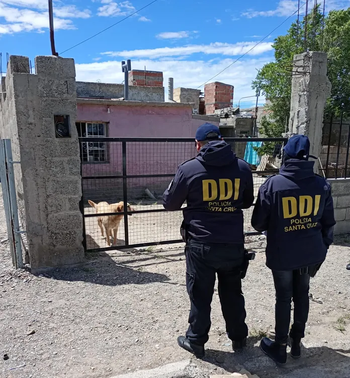 055bfebe-ee9e-4873-ad2b-bd670d332981