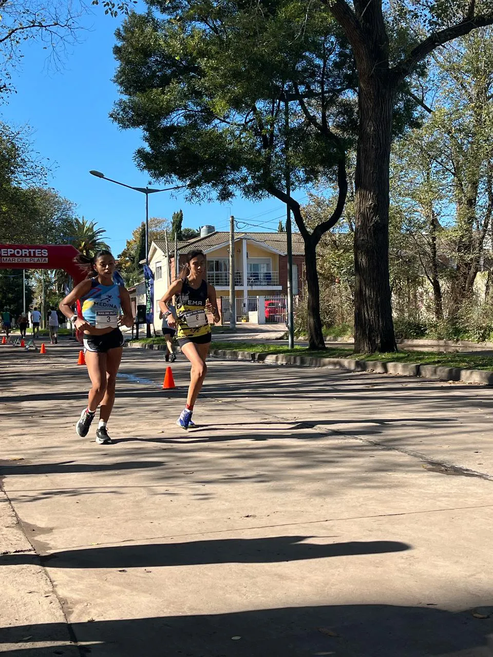 d7839ee6-3ac0-45c4-9cf1-79f24e8a6395