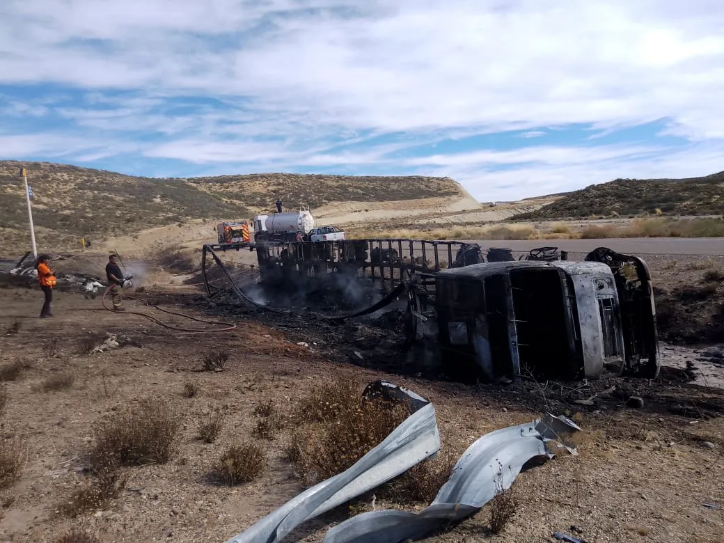 WhatsApp Image 2025-01-18 at 20.51.18 (1)