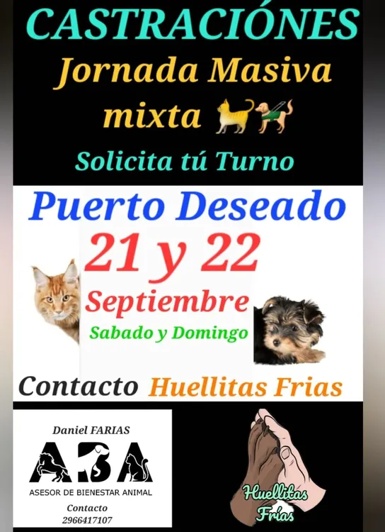 458286940_401194989680436_8339341276733966412_n