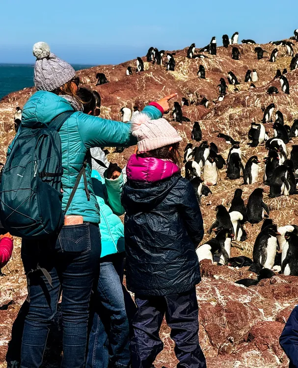 464571625_18425930188077450_4395426153942911229_n