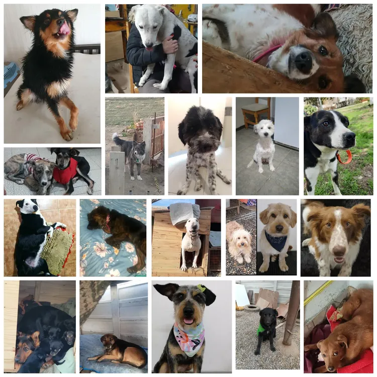 480752181_537532279380039_7389208503851873818_n