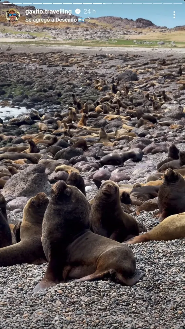 6f126866-fb91-4d6f-a867-3bc5c1e0899d