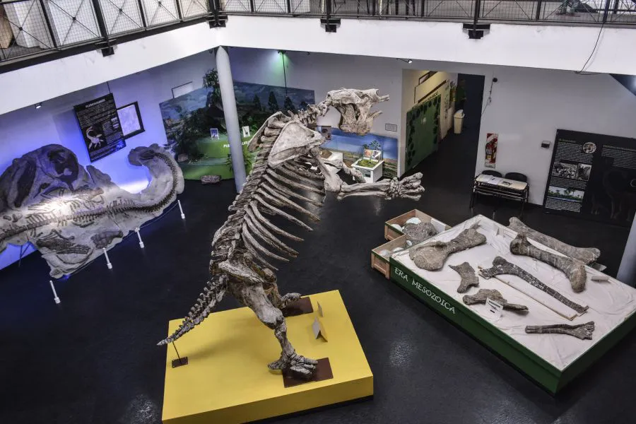 8060fdf8aa3d338bd09a215e759075b2_XL