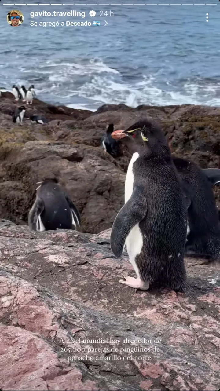 d201425c-b46d-485c-b471-292c2aca7030