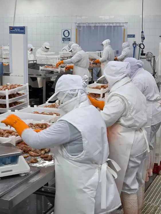 WhatsApp Image 2025-09-07 at 11.03.15