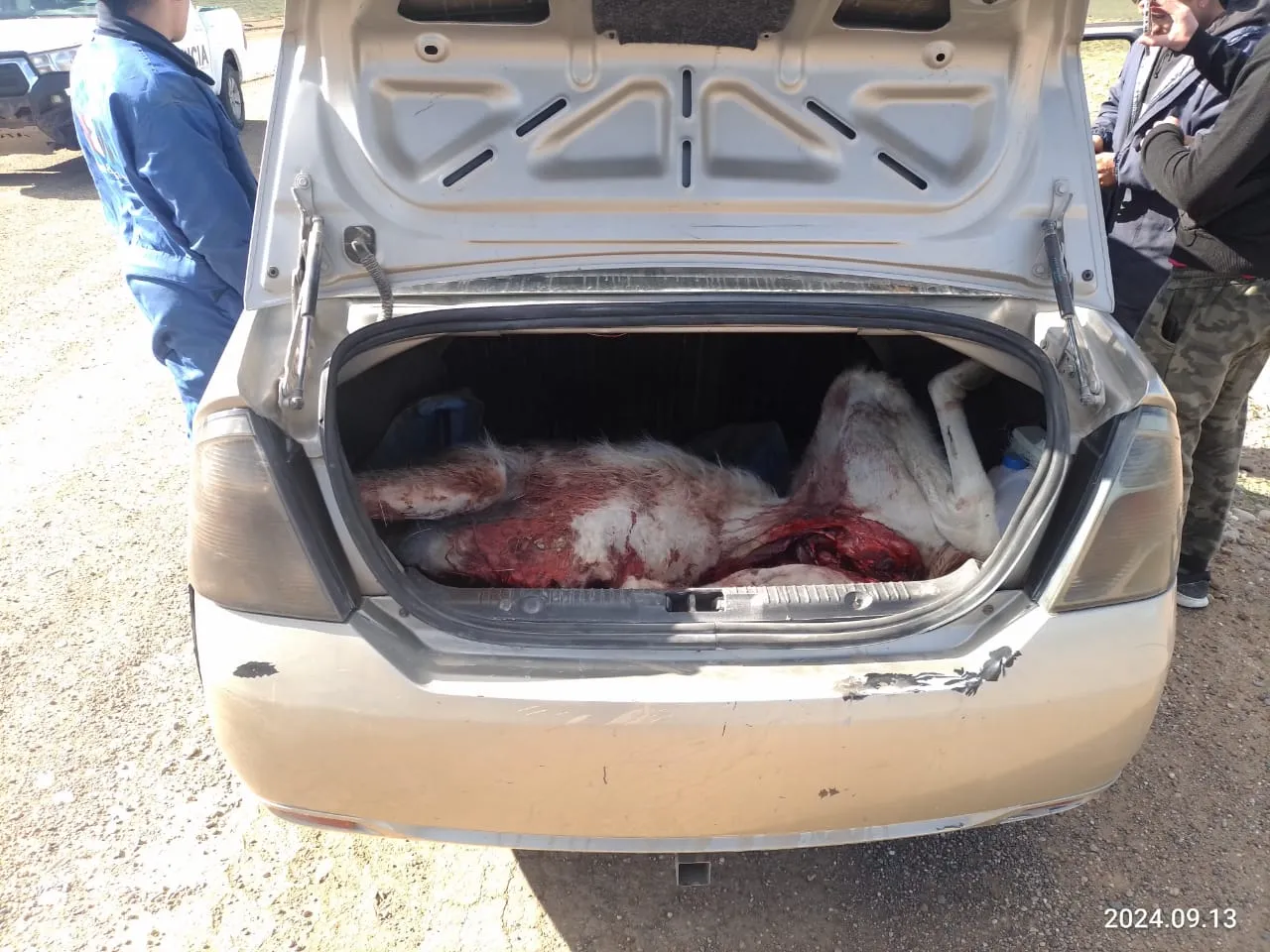 29b786a5-24d1-4c4e-ab5e-5701f8248080