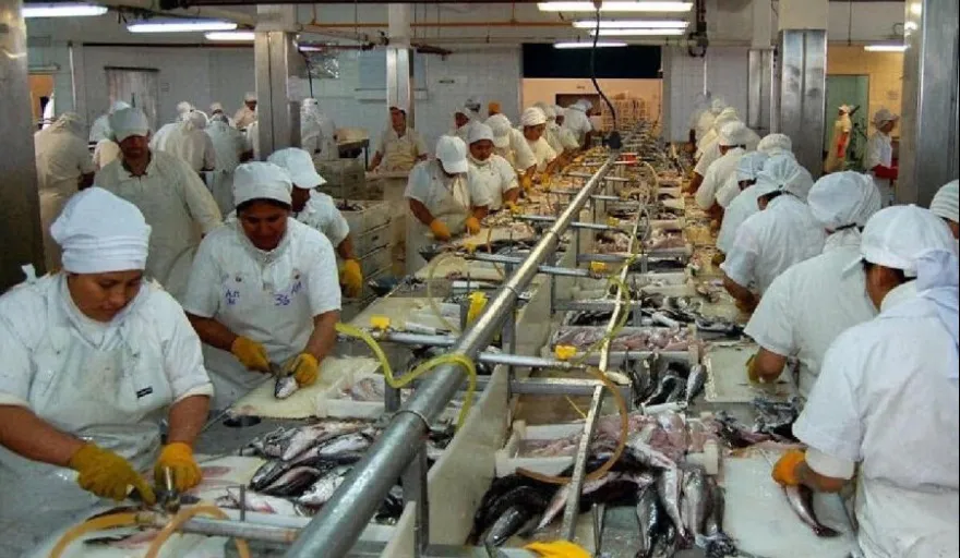 20240909035955_0a22157e2547dae5595103c6df565f98-xl