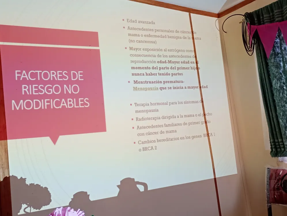 558356672_122198724506313625_3814571392068769223_n