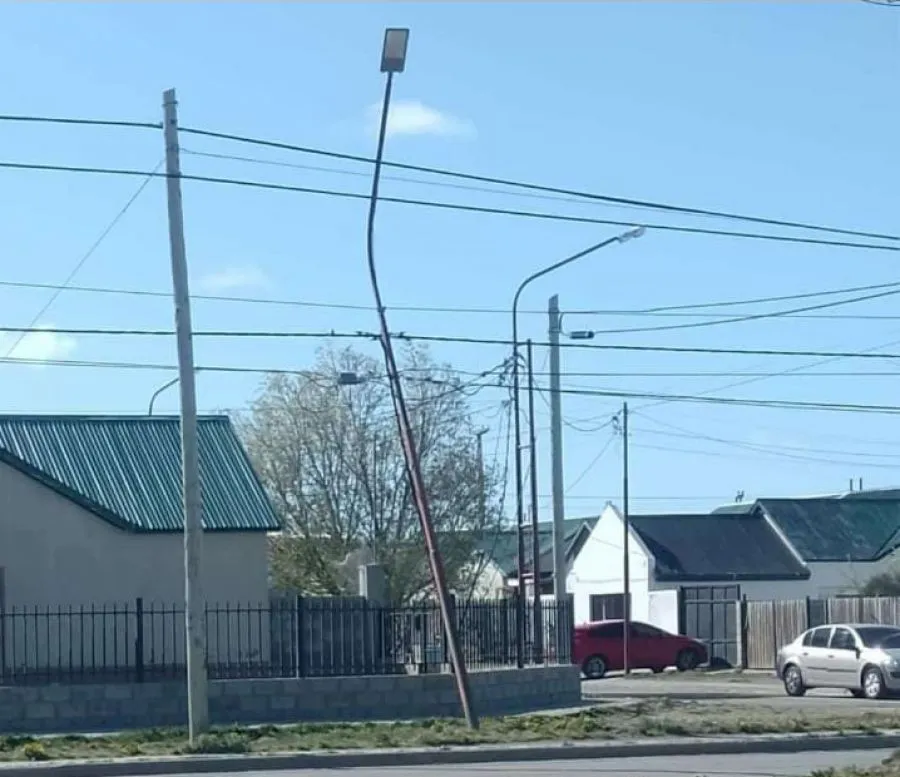 3133dbc252c1ae51b7756b069a179c43_XL