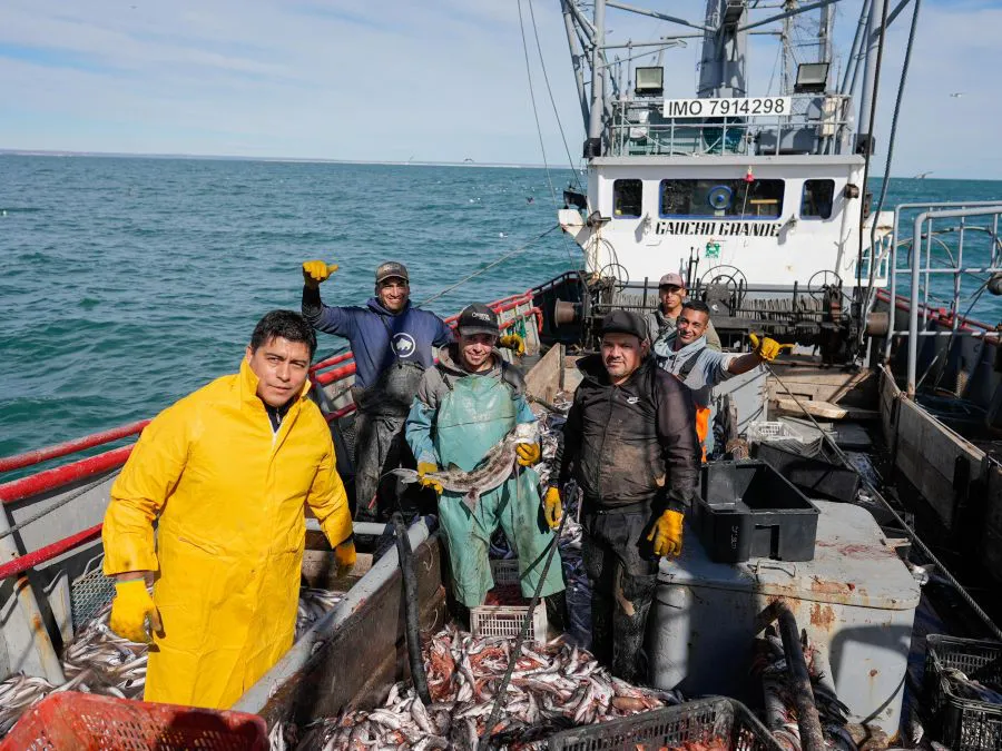 63a5a876c45663495d1b23d5df29ad59_XL