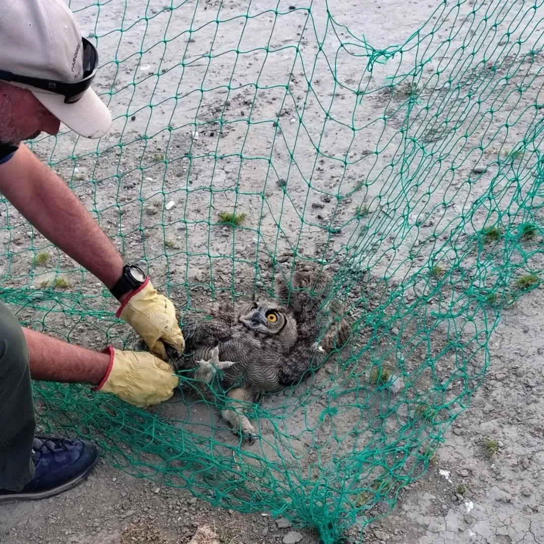 474667079_17993942573765848_1324563953005648271_n