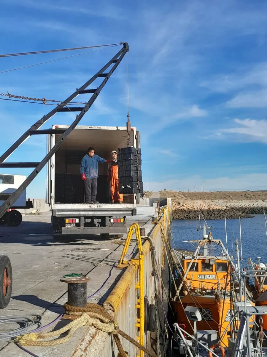 37b661ece8c4d523927e09b042857b7b_XL