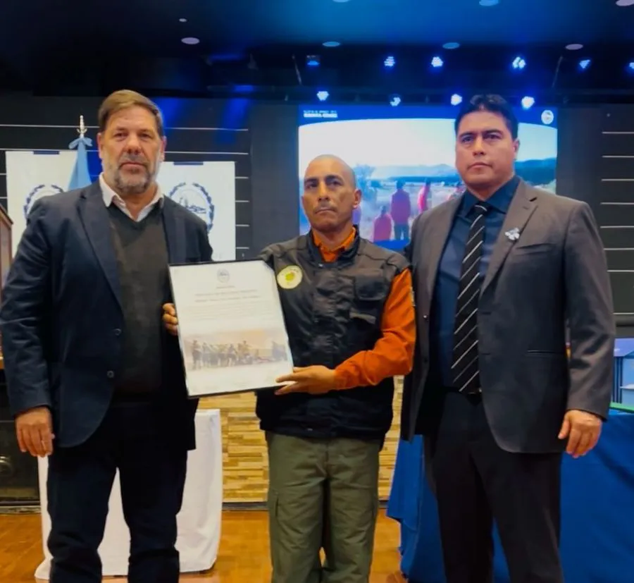 4b5de269045cbd7ee59fbf08974abff4_XL