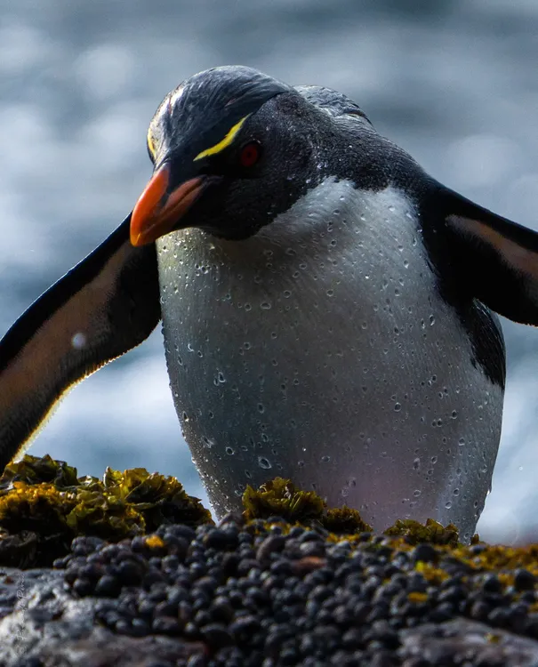 464474436_18425930170077450_3240064010796477466_n