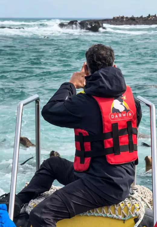 WhatsApp Image 2024-11-24 at 19.11.53