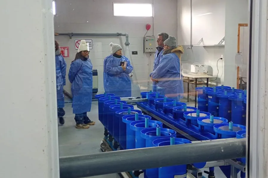 6e5ffadb127a577b52b90dacc1282a67_XL