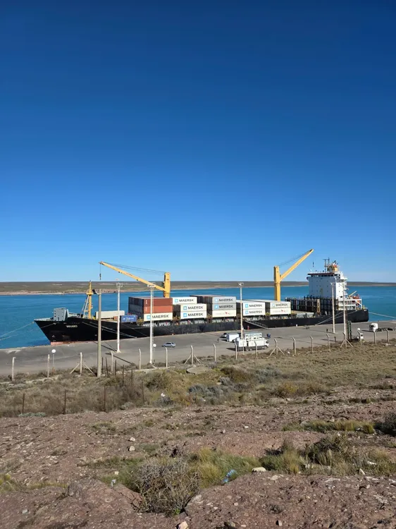 WhatsApp Image 2025-09-08 at 23.13.12