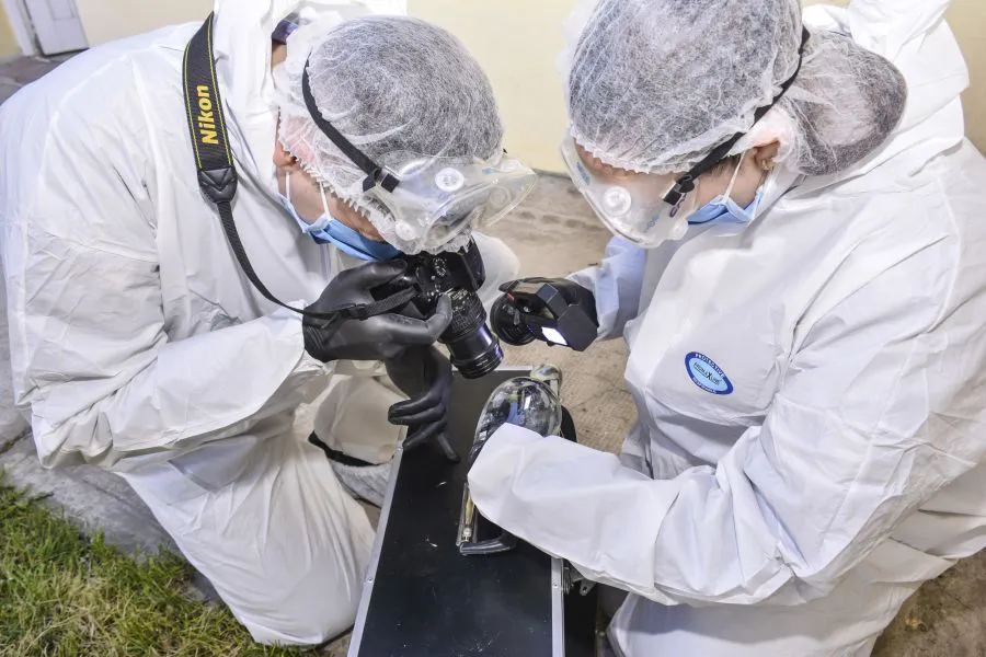 0bed27c21d8c00b5c0674a6e0674734d_XL