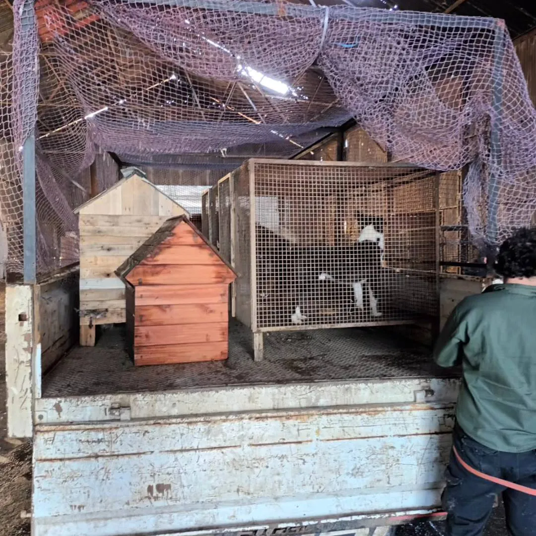 484395630_1102488098558038_1619419307338139139_n