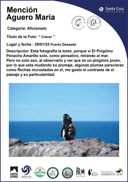 491278736_1102217628605571_1076432554341002393_n