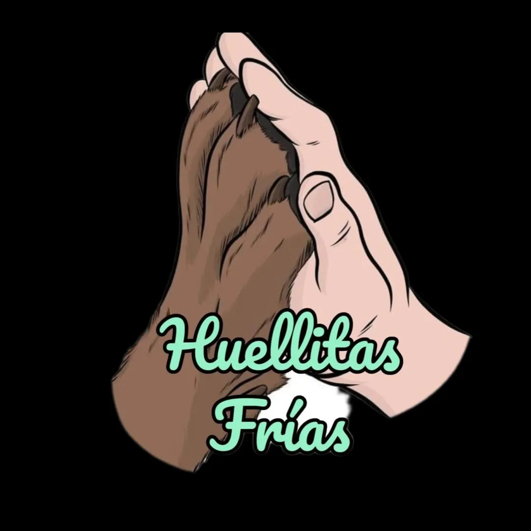 571125190_736019739531291_207881771335293814_n