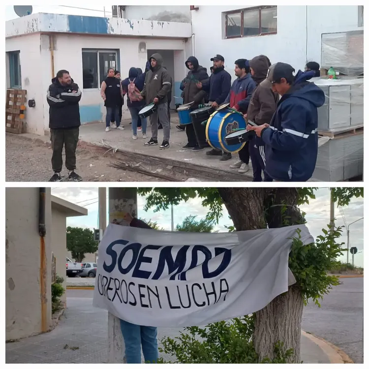 WhatsApp Image 2024-11-20 at 00.13.41