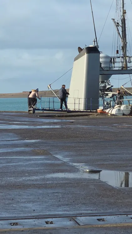 WhatsApp Image 2025-08-12 at 20.08.44