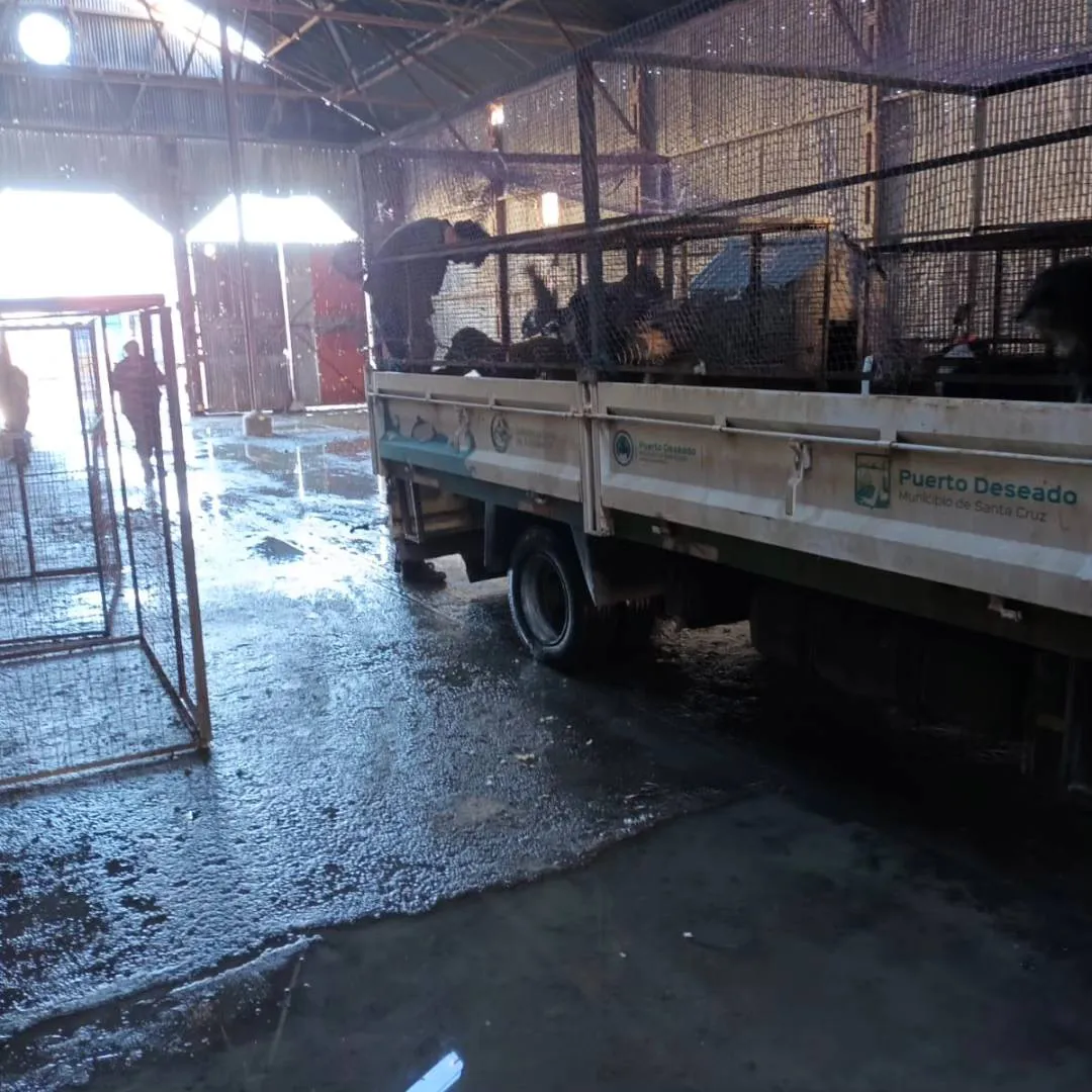 484075057_1102488021891379_7002742716456925483_n