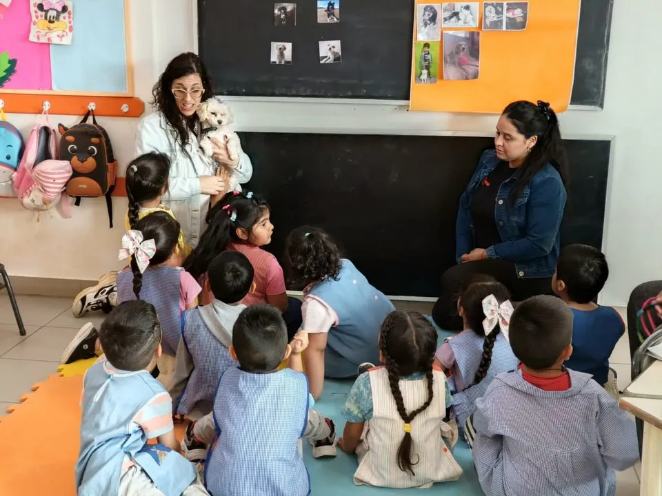 590428383_17929219926152038_6569273564319530523_n