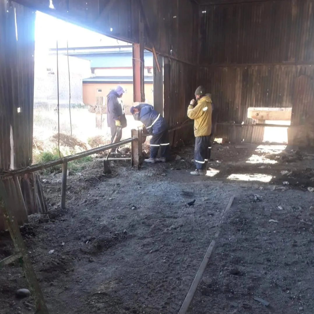 484507897_1102488031891378_3714425658062030084_n