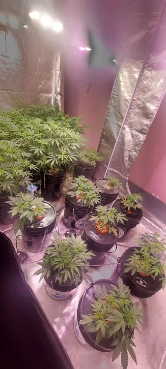 3c422da5-6f01-486b-911d-eb2da53a9db0